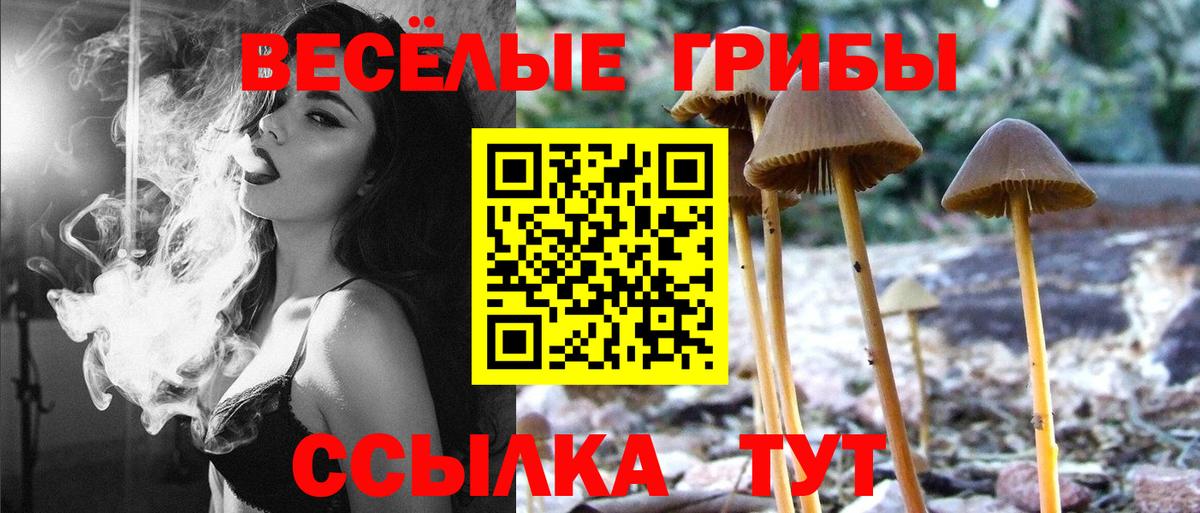 Дзержинский  Псилоцибиновые грибы прущие грибы  где купить наркоту  Вход с VPN 